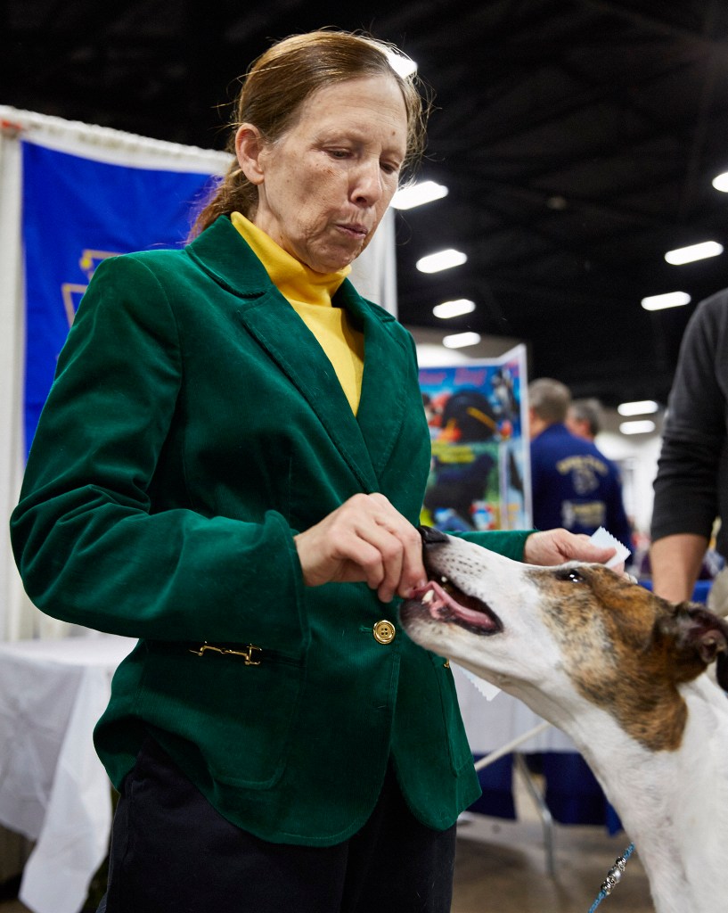 Patricia Sanders of Baltimore with her Greyhounds