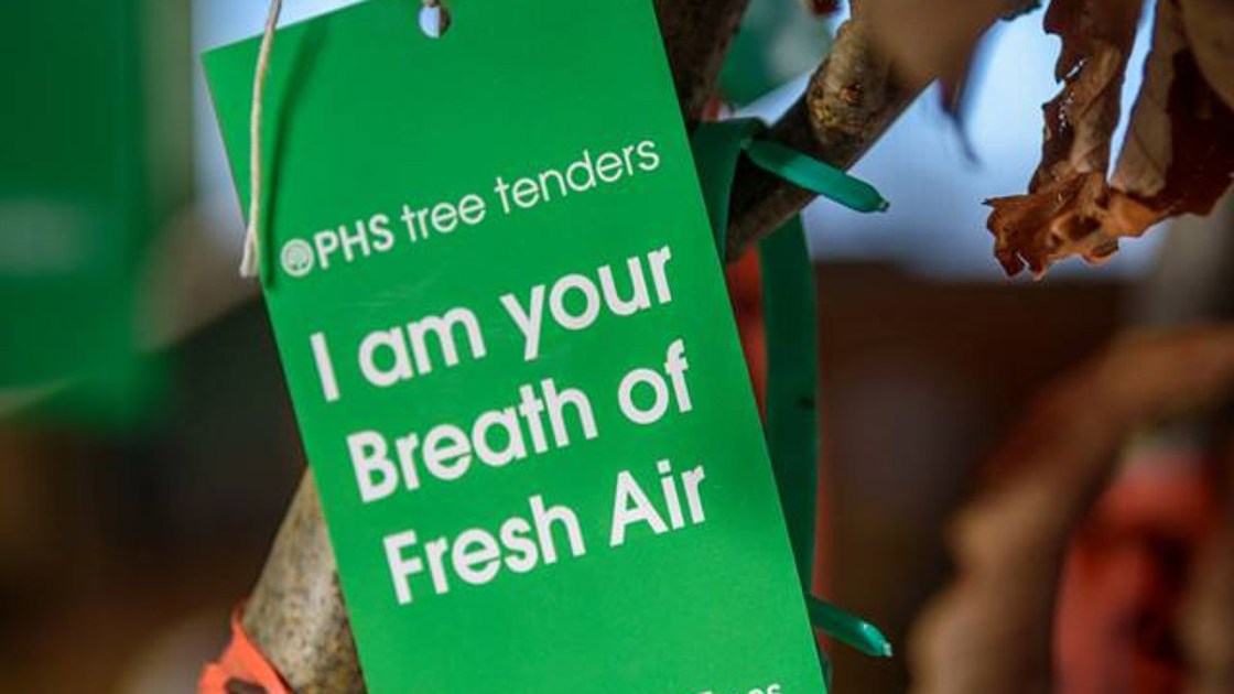 First Spanishlanguage tree planting program aims to make North Philly more green On top of