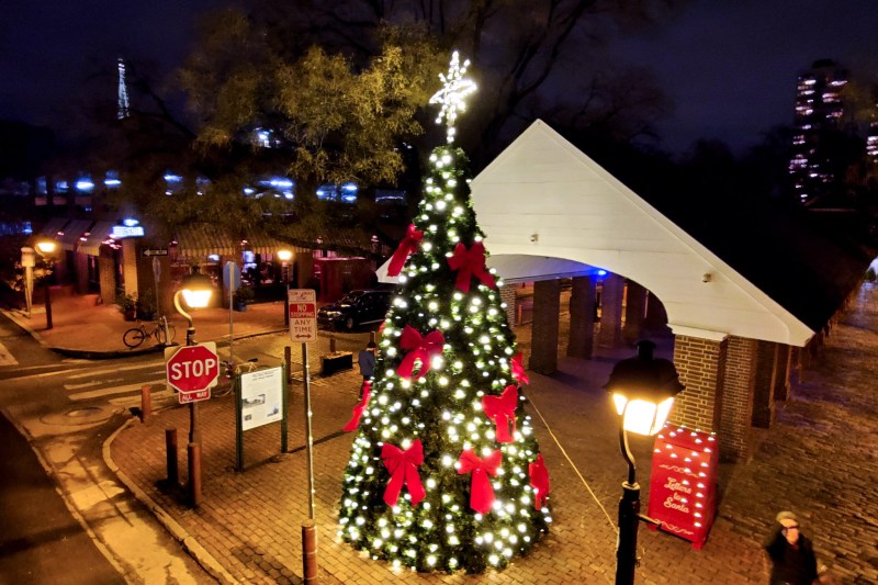 17 Philly Christmas trees to visit, in all their decorated glory On