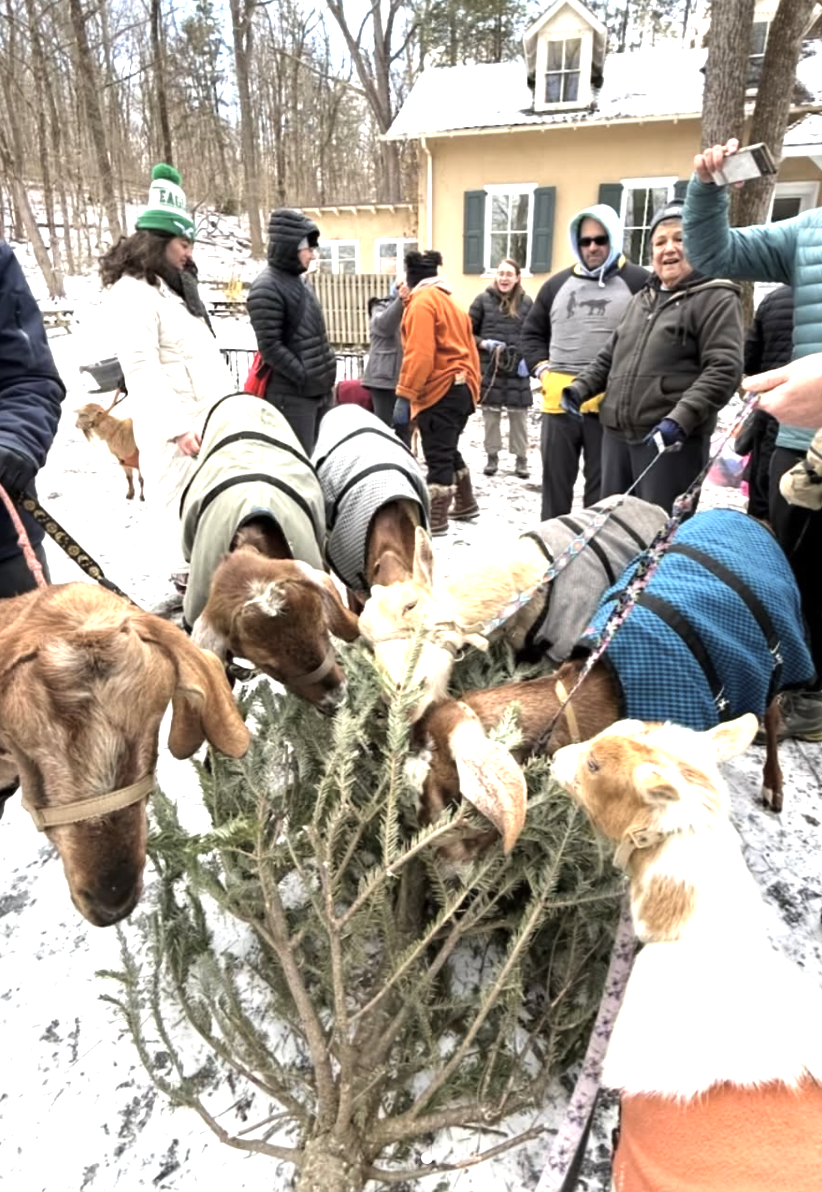 President’s House exhibits removed; Philly school closures?; A hoops ‘first’ | Morning Roundup