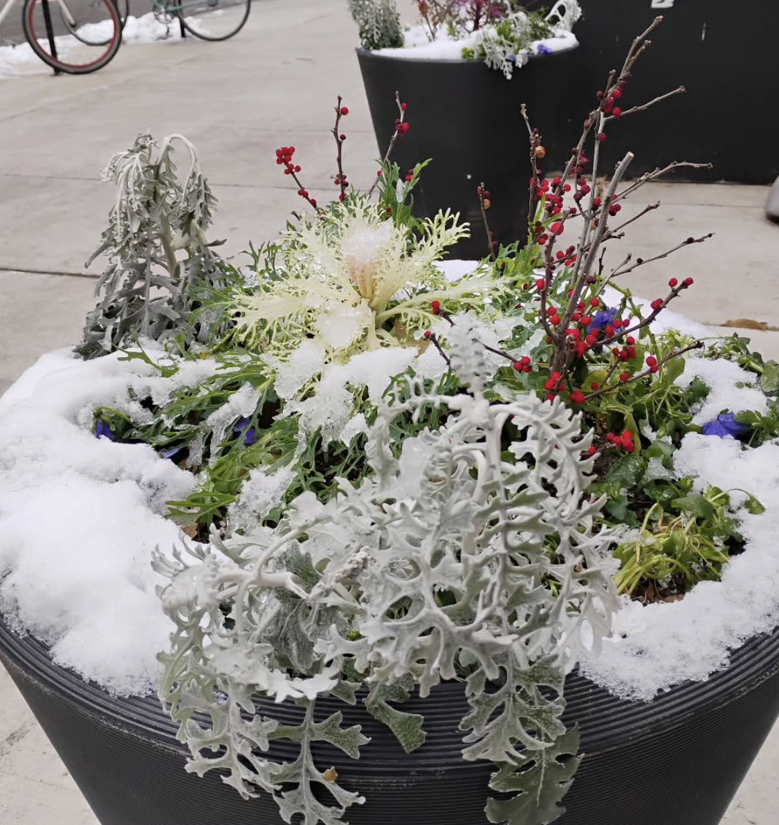 Snow day Philly style; Calder moon meditations; School closure reactions | Morning Roundup