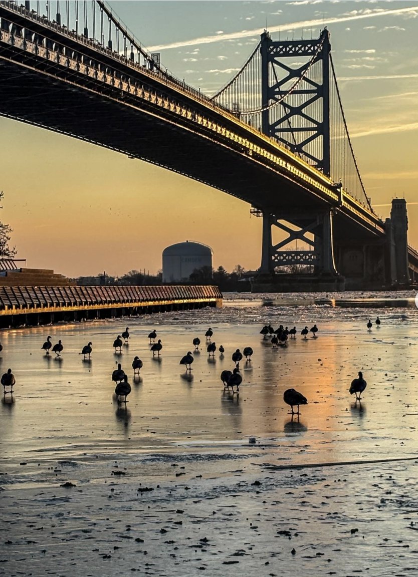 Intercity bus station options; Feds appeal President’s House order; Weekly gun violence brief | Morning Roundup